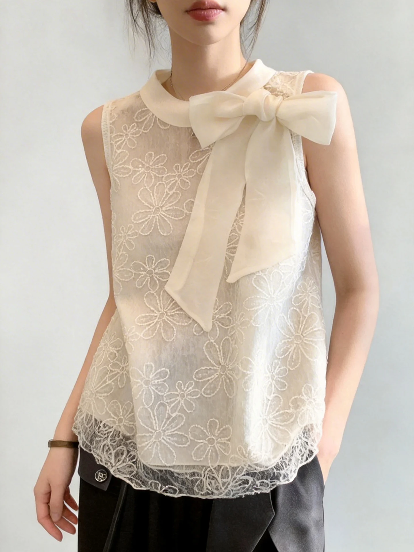 Elegant Light Pink Lace Embroidery Shirt Women Summer Thin Mesh Blouse No Sleeve Bow Tie Sheer round Neck Top Citywalk Outfit
Elegant Light Pink Lace Embroidery Shirt Women Summer Thin Mesh Blouse No Sleeve Bow Tie Sheer round Neck Top Citywalk Outfit
