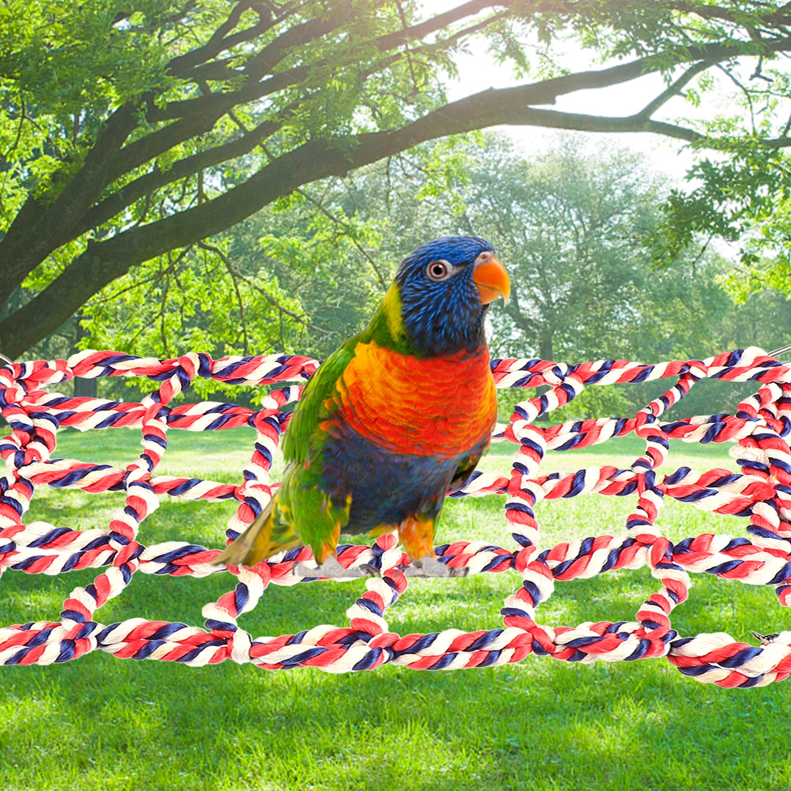 Colorful Climbing Net for Parrot Premium Bird Chew Swing Plaything Adventure Hanging Cage Accessory Pet Playground Fun Exercise
Colorful Climbing Net for Parrot Premium Bird Chew Swing Plaything Adventure Hanging Cage Accessory Pet Playground Fun Exercise
