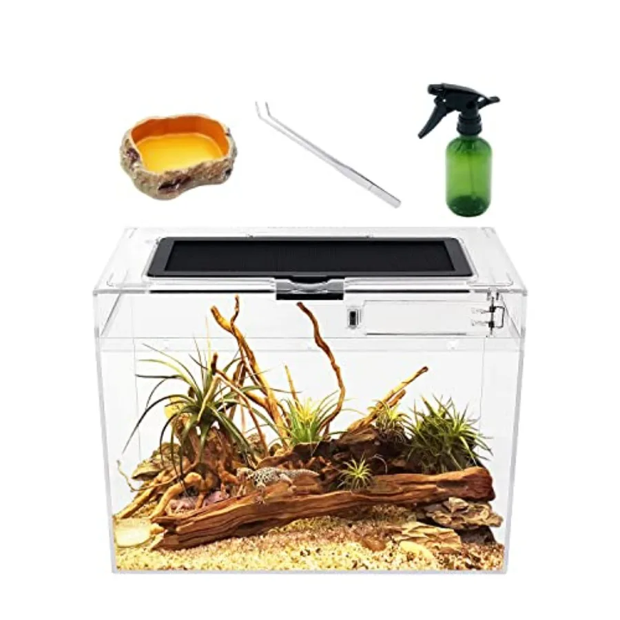 Mini Reptile Terrarium, Reptile Tank with Full View Visually Appealing for Insect Fish Tarantula Hermit crab Jumping spider Igu
Mini Reptile Terrarium, Reptile Tank with Full View Visually Appealing for Insect Fish Tarantula Hermit crab Jumping spider Igu