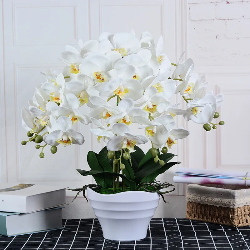 47cm Hand-feel Artificial Flower Phalaenopsis Bonsai Living Room Decoration Flower Company Hotel Lobby Flower Fake Flower Decora
47cm Hand-feel Artificial Flower Phalaenopsis Bonsai Living Room Decoration Flower Company Hotel Lobby Flower Fake Flower Decora