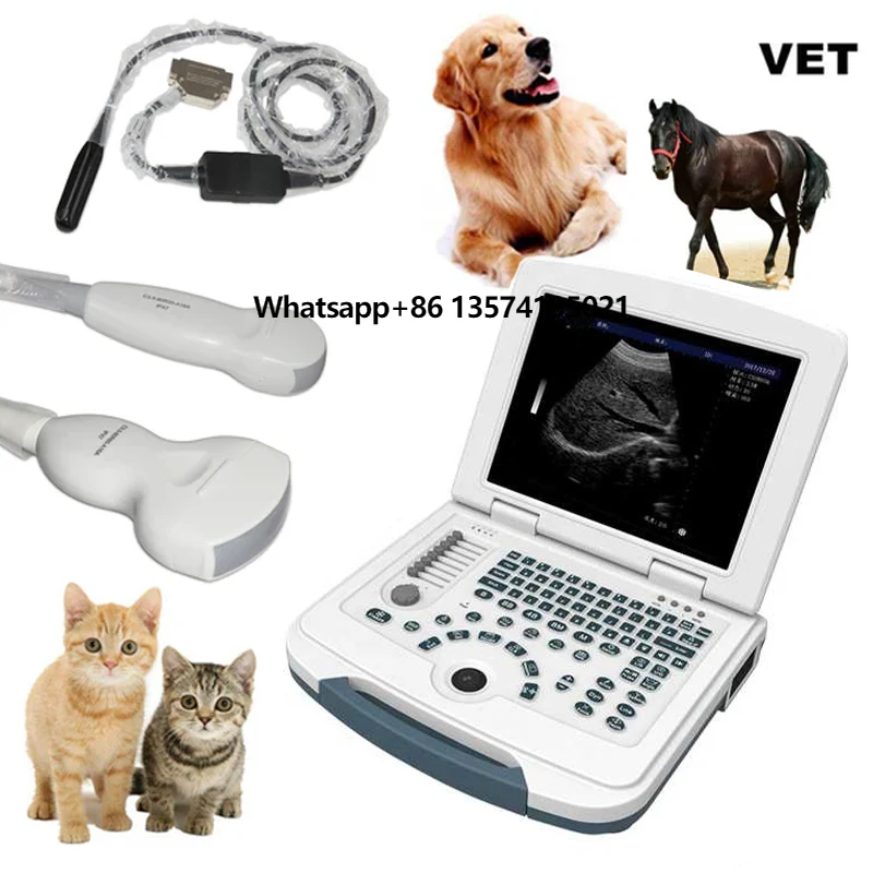 Cheap Cat Baby Intestinal Layers and Cardiac Chest Diarrhea Gets Indoor Invoice Kneading Spleen Ibs Leg Cecum Ultrasound Scanner
Cheap Cat Baby Intestinal Layers and Cardiac Chest Diarrhea Gets Indoor Invoice Kneading Spleen Ibs Leg Cecum Ultrasound Scanner
