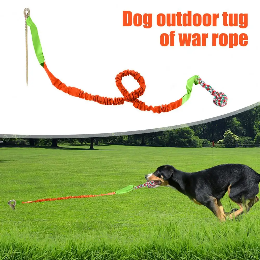 Dog Rope Toy for Tree Pulling Durable Dog Tug Toy Set for Chewers Outdoor Bungee Tether Toy Extra Rope Chew for Medium Dogs
Dog Rope Toy for Tree Pulling Durable Dog Tug Toy Set for Chewers Outdoor Bungee Tether Toy Extra Rope Chew for Medium Dogs