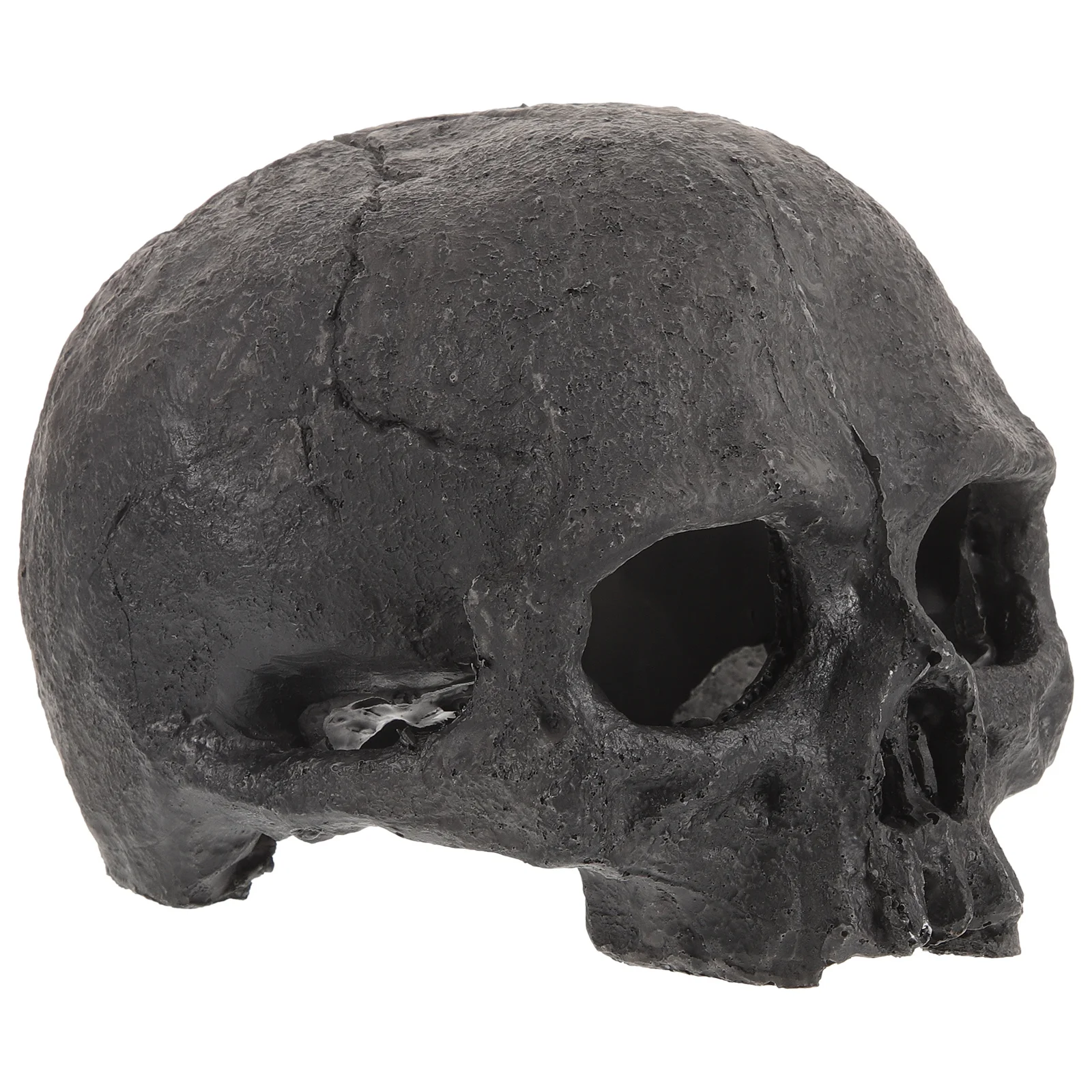 Skull Aquarium Ornament Resin Fish Tank Cave Decoration Reptile Hideout Fish Shelter Underwater Decor Skull Figurine for Reptile
Skull Aquarium Ornament Resin Fish Tank Cave Decoration Reptile Hideout Fish Shelter Underwater Decor Skull Figurine for Reptile