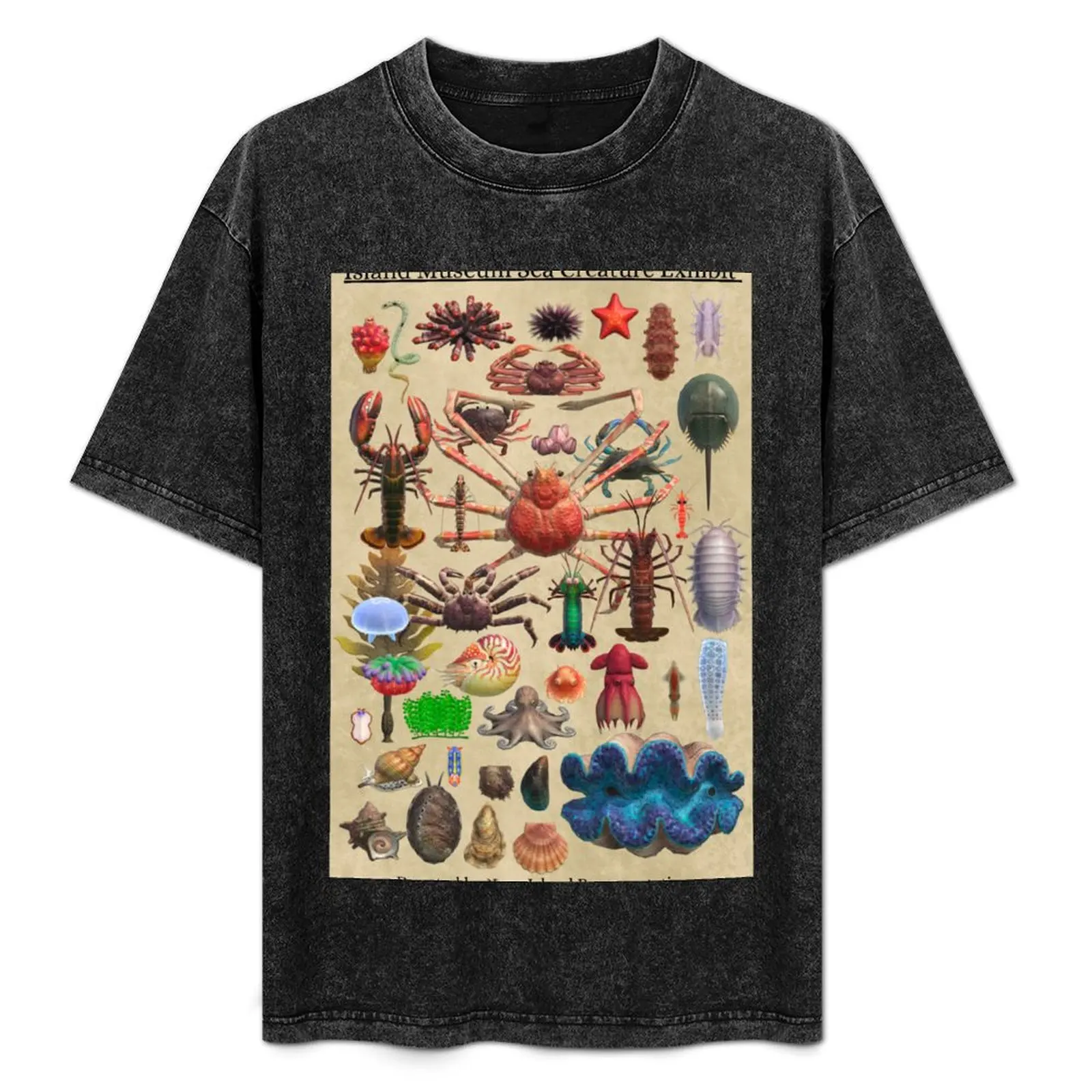 Island Museum Sea Creature Exhibit T-Shirt Construction Work Tee Shirt
Island Museum Sea Creature Exhibit T-Shirt Construction Work Tee Shirt