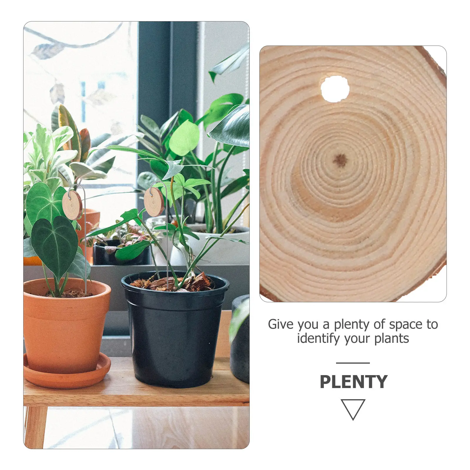 Набор деревянных этикеток для растений: круглые, легкие, прочные маркеры для сада, горшечных растений, бонсай и питомников
Набор деревянных этикеток для растений: круглые, легкие, прочные маркеры для сада, горшечных растений, бонсай и питомников