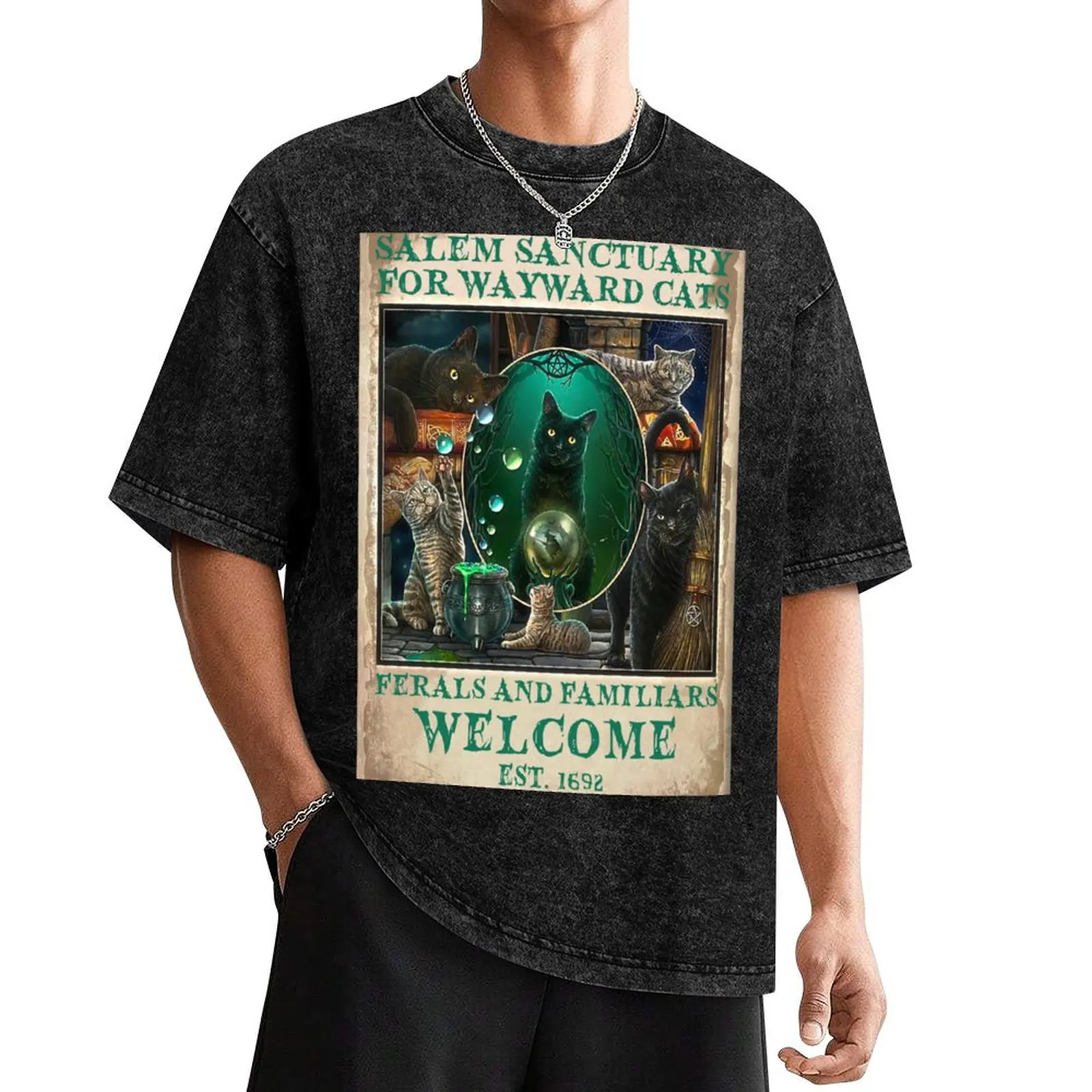 Black Cat Salem Sanctuary For Wayward Cats Ferals Est 1962 T-Shirt graphic t shirts summer 2025 mens t shirts casual stylish
Black Cat Salem Sanctuary For Wayward Cats Ferals Est 1962 T-Shirt graphic t shirts summer 2025 mens t shirts casual stylish