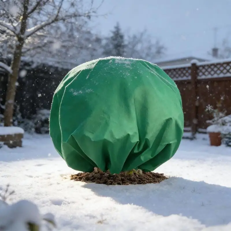 QX2E Environmental friendly Plant Cover with Bathing suit Security for Home Gardeners Use
QX2E Environmental friendly Plant Cover with Bathing suit Security for Home Gardeners Use