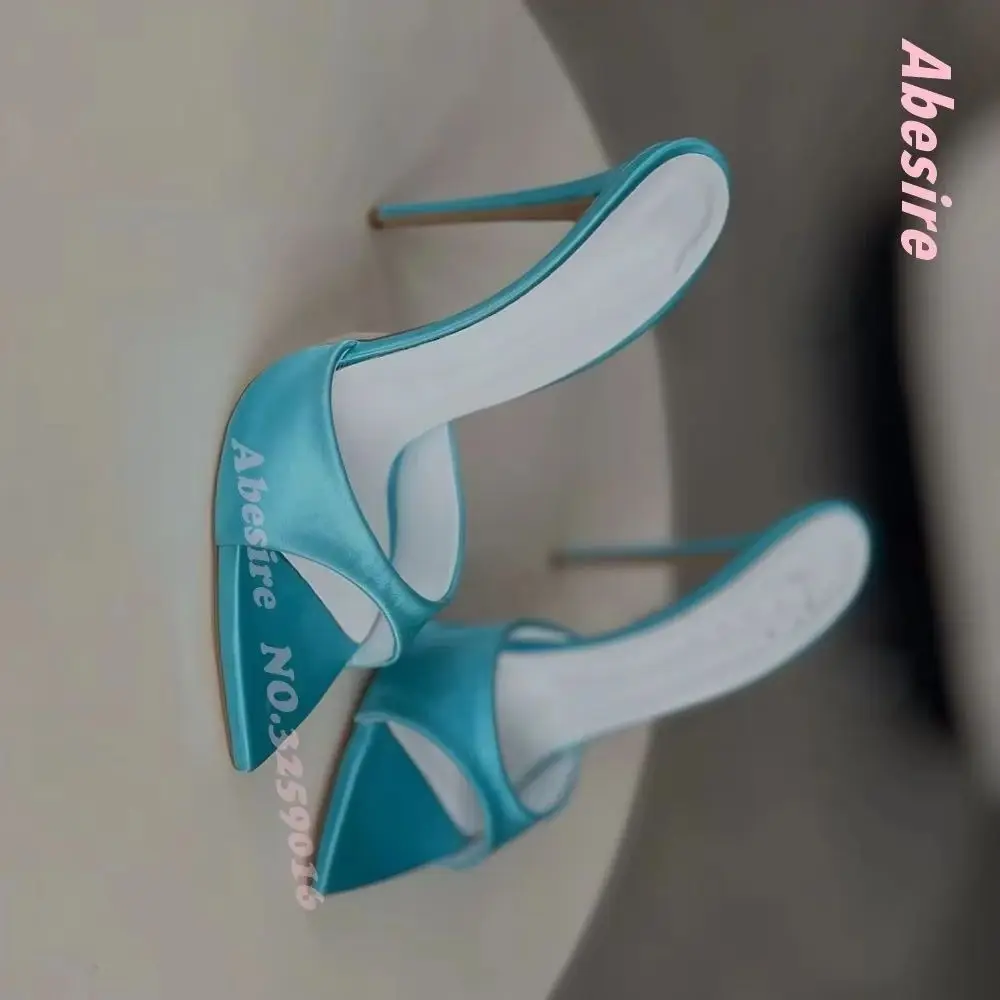 Satin Blue Stiletto Heels Slippers Patchwork Pointed Toe One Strap Slip On Women's Slippers Outside Elegant Party Shoes Sexy
Satin Blue Stiletto Heels Slippers Patchwork Pointed Toe One Strap Slip On Women's Slippers Outside Elegant Party Shoes Sexy