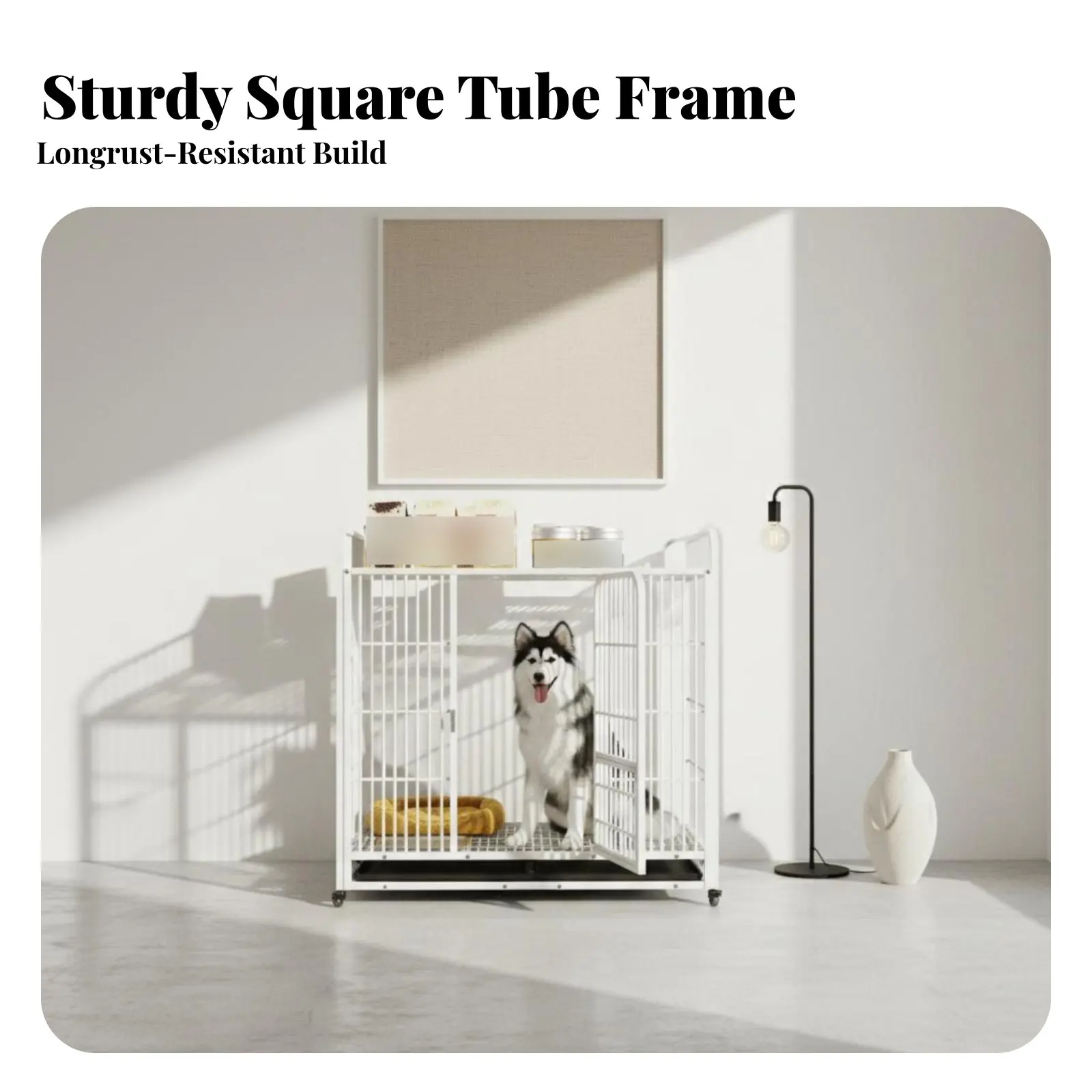 Dog Enclosure with Toilet Easy to Clean Pet Crate Dependable-Latch Sturdy Duty for Kennel Handlers, Living Room
Dog Enclosure with Toilet Easy to Clean Pet Crate Dependable-Latch Sturdy Duty for Kennel Handlers, Living Room