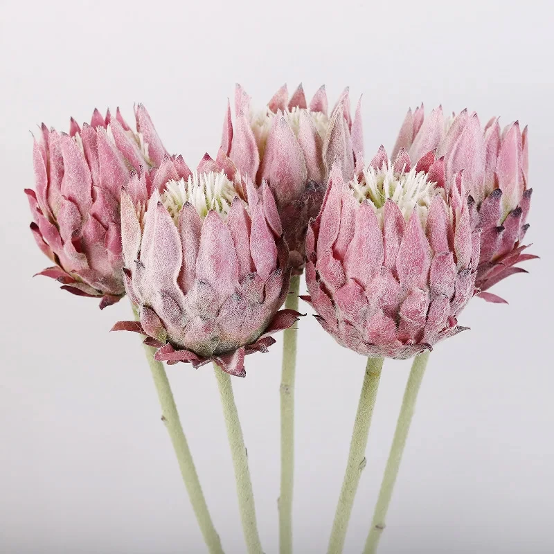 6Pcs/lot Faux Thistle Flocked Artificial Flowers Wedding Decor Road Leads Floral Party Event Home Decoration Fake Emperor Flower
6Pcs/lot Faux Thistle Flocked Artificial Flowers Wedding Decor Road Leads Floral Party Event Home Decoration Fake Emperor Flower