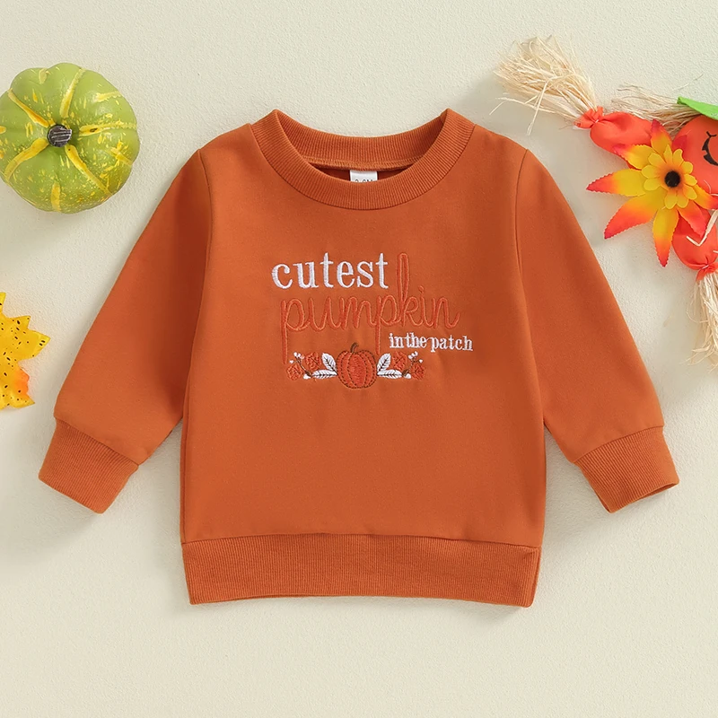 Little Boys 2024 Halloween Casual Sweatshirts Long Sleeve O Neck Letter Pumpkin Embroidery Pullover Fall Loose Tops for 0-3Y
Little Boys 2024 Halloween Casual Sweatshirts Long Sleeve O Neck Letter Pumpkin Embroidery Pullover Fall Loose Tops for 0-3Y