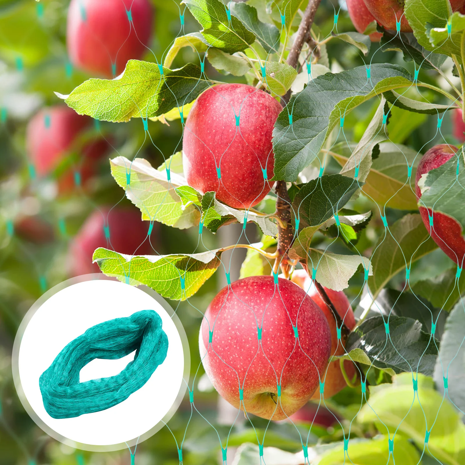 Garden Bird Netting Anti Bird Mesh Netting for Fruits Vegetables Plants Protective Trellis Net Easy Install Foldable Reusable
Garden Bird Netting Anti Bird Mesh Netting for Fruits Vegetables Plants Protective Trellis Net Easy Install Foldable Reusable