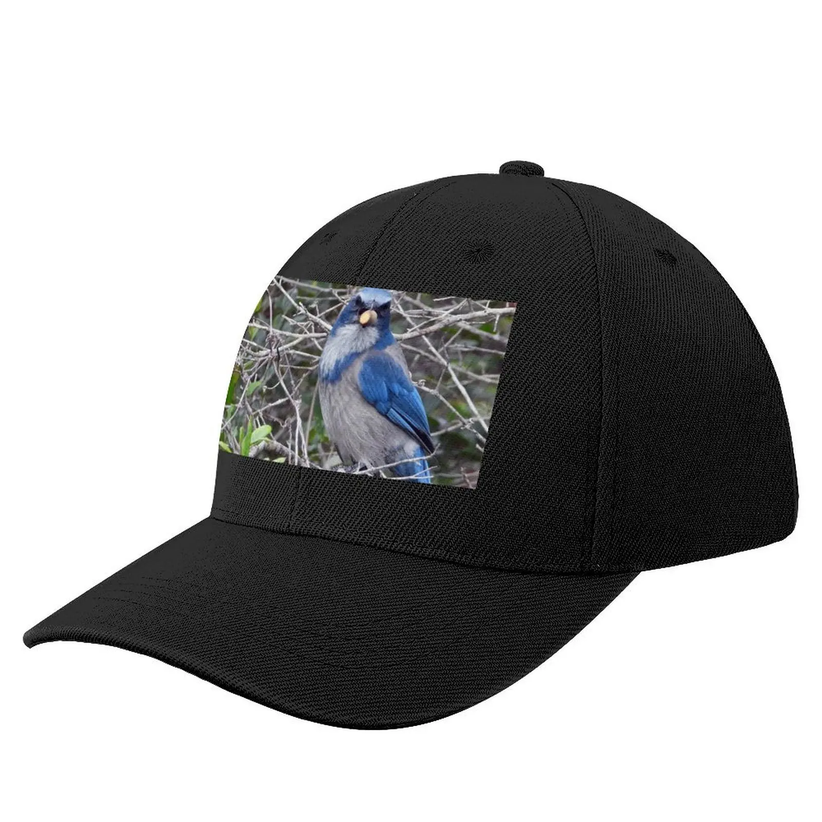 Бейсбольная кепка Scrub JayCap, бейсболка, спортивная кепка, солнцезащитный крем, роскошные кепки для мужчин и женщин
Бейсбольная кепка Scrub JayCap, бейсболка, спортивная кепка, солнцезащитный крем, роскошные кепки для мужчин и женщин