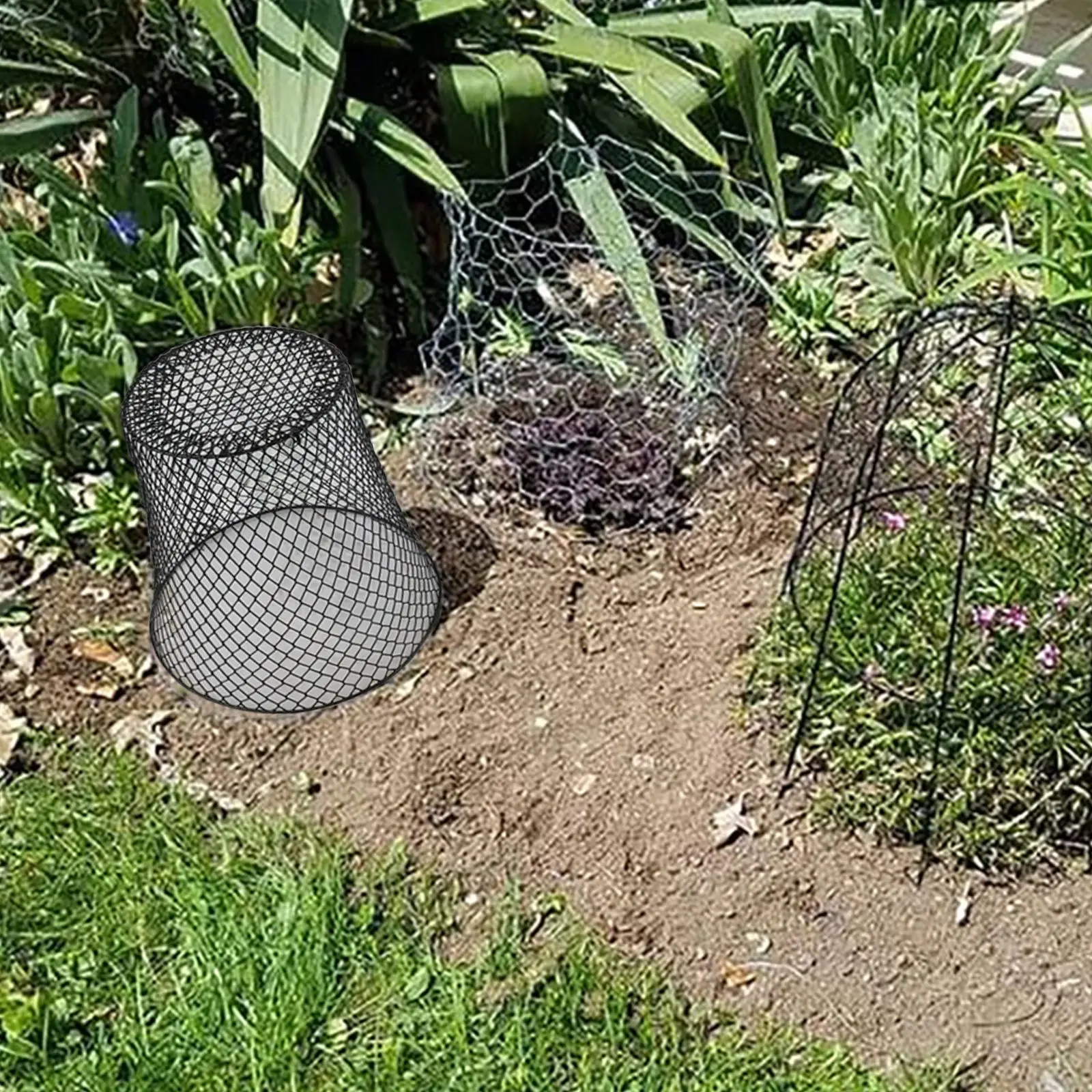 Animal Barrier U-Shaped Ground Stakes 5 Black And 5 White Garden Mesh Covers Protective Garden Cover Rust Resistant Material
Animal Barrier U-Shaped Ground Stakes 5 Black And 5 White Garden Mesh Covers Protective Garden Cover Rust Resistant Material