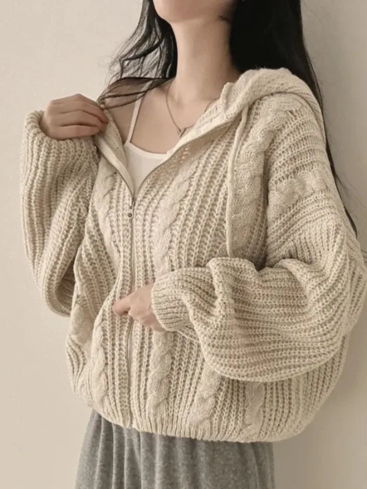 plus Size Loose Fit Long Sleeve Hoodie Women's Outerwear Slimming Cardigan Korean Style Spring Autumn Comfortable Casual Sweater
plus Size Loose Fit Long Sleeve Hoodie Women's Outerwear Slimming Cardigan Korean Style Spring Autumn Comfortable Casual Sweater