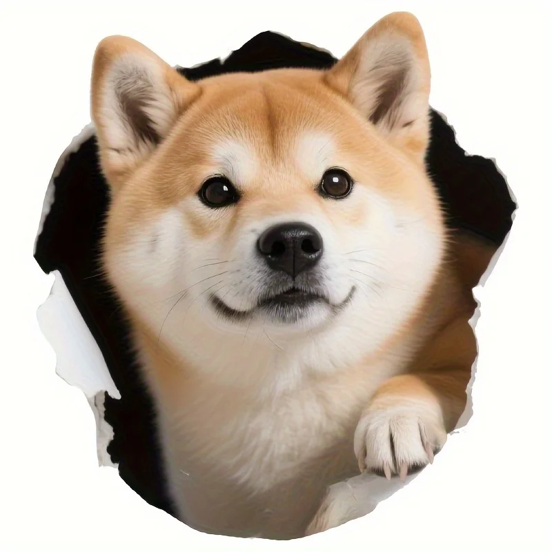 2D Peeking Shiba Inu Waterproof Vinyl Sticker, Cute Pet Decal for Car Motorcycle Truck Window Laptop Helmet Decor
2D Peeking Shiba Inu Waterproof Vinyl Sticker, Cute Pet Decal for Car Motorcycle Truck Window Laptop Helmet Decor