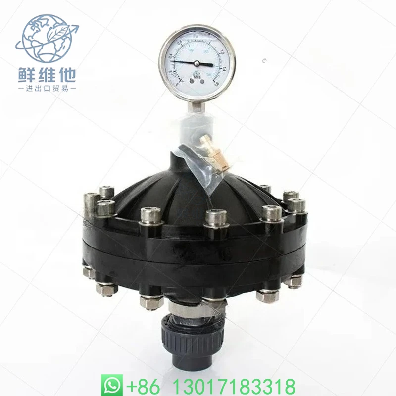 Pulsation Damper 0.35-4L DN15-DN50 Internal Thread Diaphragm Pulsation Dampener For Pumps Dosing System
Pulsation Damper 0.35-4L DN15-DN50 Internal Thread Diaphragm Pulsation Dampener For Pumps Dosing System