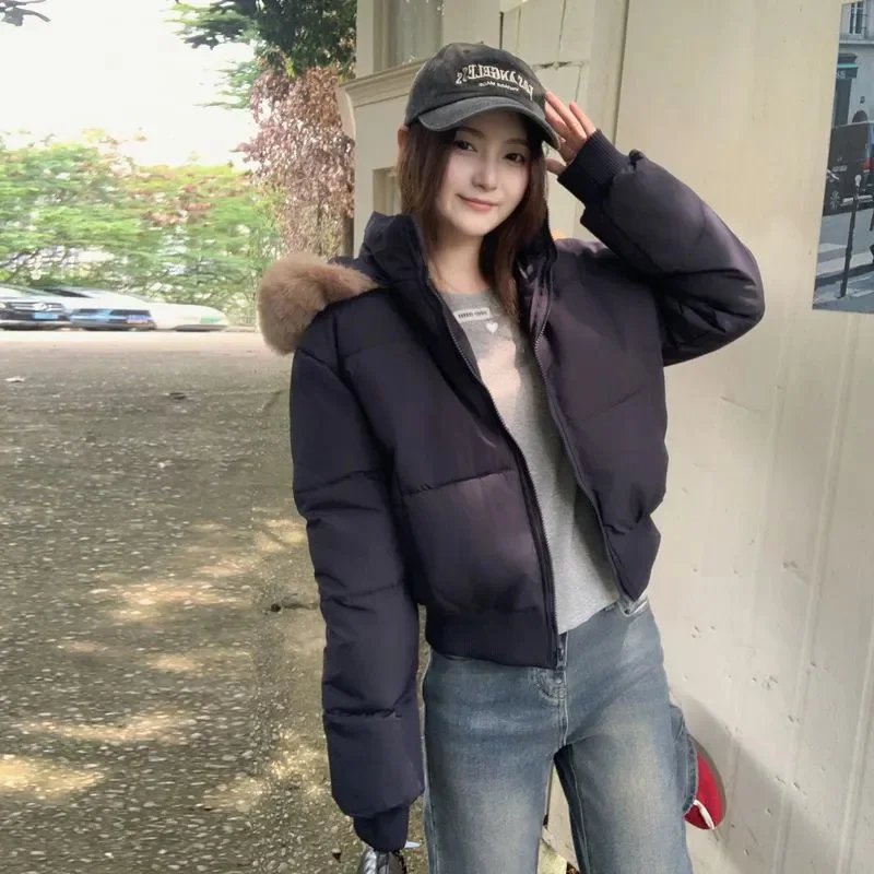 Зимние корейские короткие парки, женские модные толстые теплые пуховые хлопковые пальто с капюшоном, женская повседневная куртка, парка, женская хлебная служба
Зимние корейские короткие парки, женские модные толстые теплые пуховые хлопковые пальто с капюшоном, женская повседневная куртка, парка, женская хлебная служба