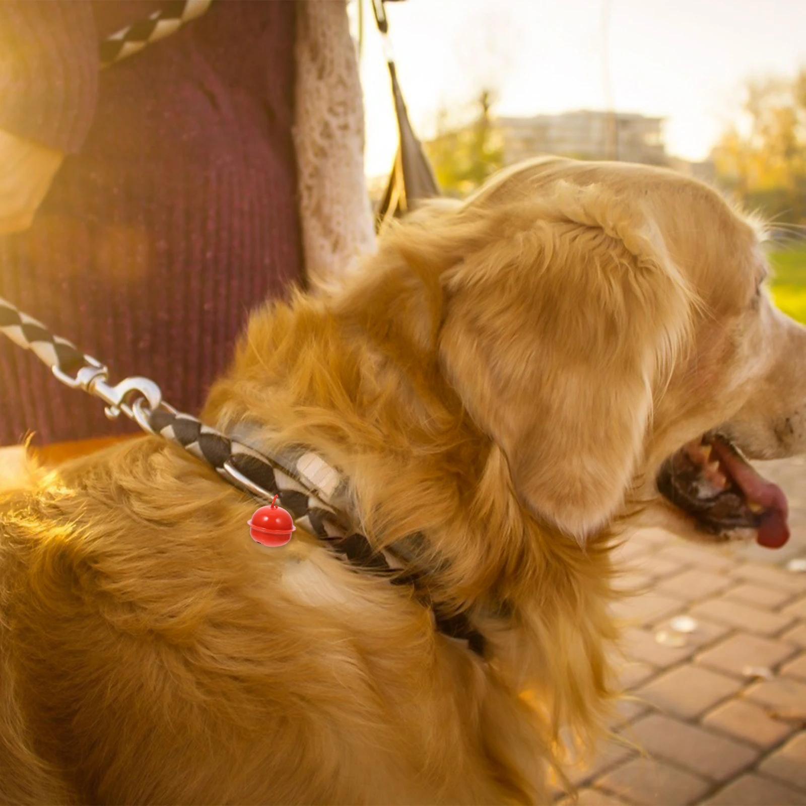 40 Pcs Necklace Dog Bell Christmas Decorations Collar Iron Small Bells DIY Accessories
40 Pcs Necklace Dog Bell Christmas Decorations Collar Iron Small Bells DIY Accessories