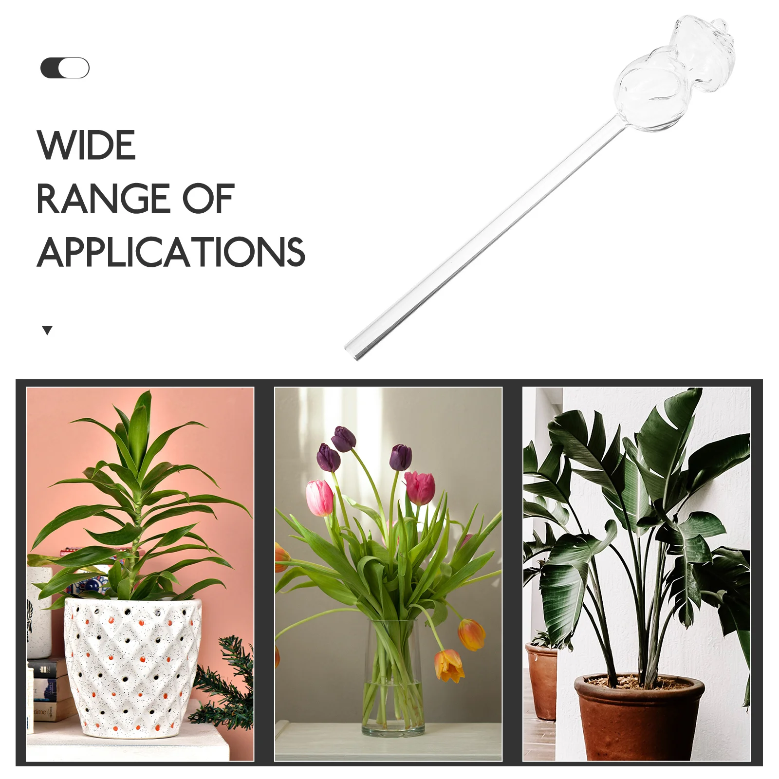 2Pcs Glass Self- Globes Automatic Plant Device for Potted Plants Bonsai Garden Home Travel Irrigation System
2Pcs Glass Self- Globes Automatic Plant Device for Potted Plants Bonsai Garden Home Travel Irrigation System