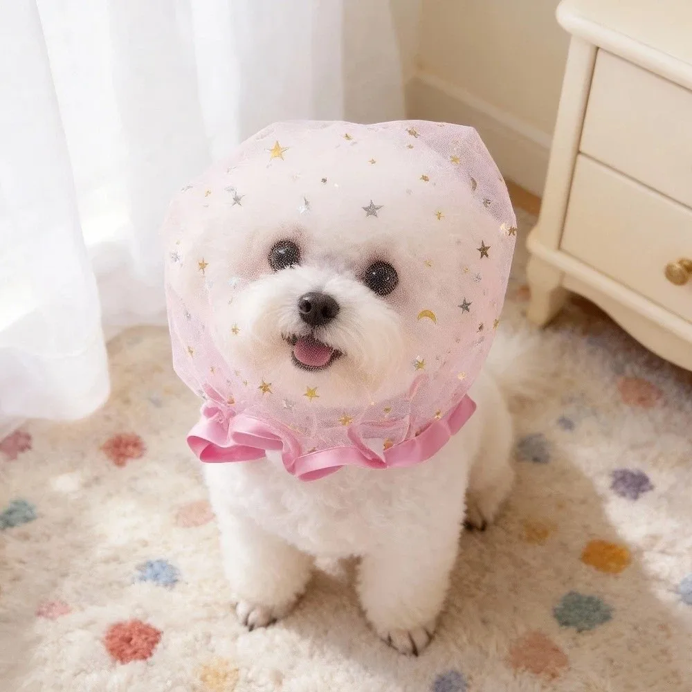 Face Cover Dog Anti-Eating Headgear Anti-accidental Elastic Dog Muzzle Pet Protective Mask Stop Pets from Licking
Face Cover Dog Anti-Eating Headgear Anti-accidental Elastic Dog Muzzle Pet Protective Mask Stop Pets from Licking