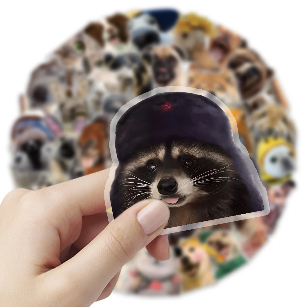 10/30/50pcs PET Transparent Funny Animal MEME Stickers Waterproof DIY Computer Notebook Phone Case Car Graffiti Sticker Kid Toys
10/30/50pcs PET Transparent Funny Animal MEME Stickers Waterproof DIY Computer Notebook Phone Case Car Graffiti Sticker Kid Toys