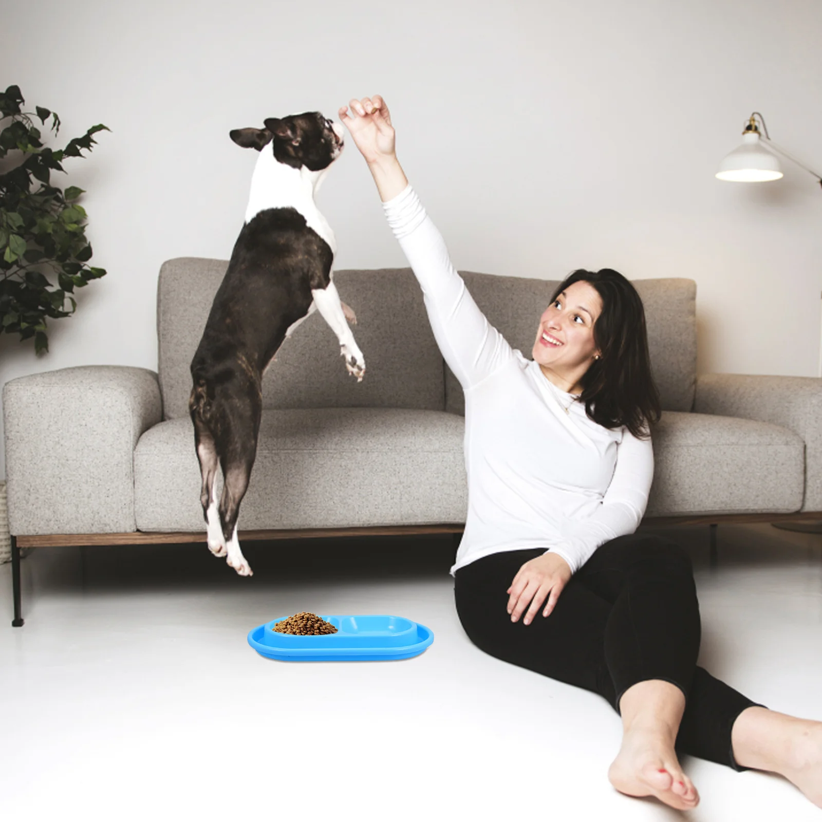 Double Dog Bowls Water and Food Bowls Overflow Pet Feeder Raised Pet Bowl Cat Food Tray for Cats Dogs Puppy
Double Dog Bowls Water and Food Bowls Overflow Pet Feeder Raised Pet Bowl Cat Food Tray for Cats Dogs Puppy