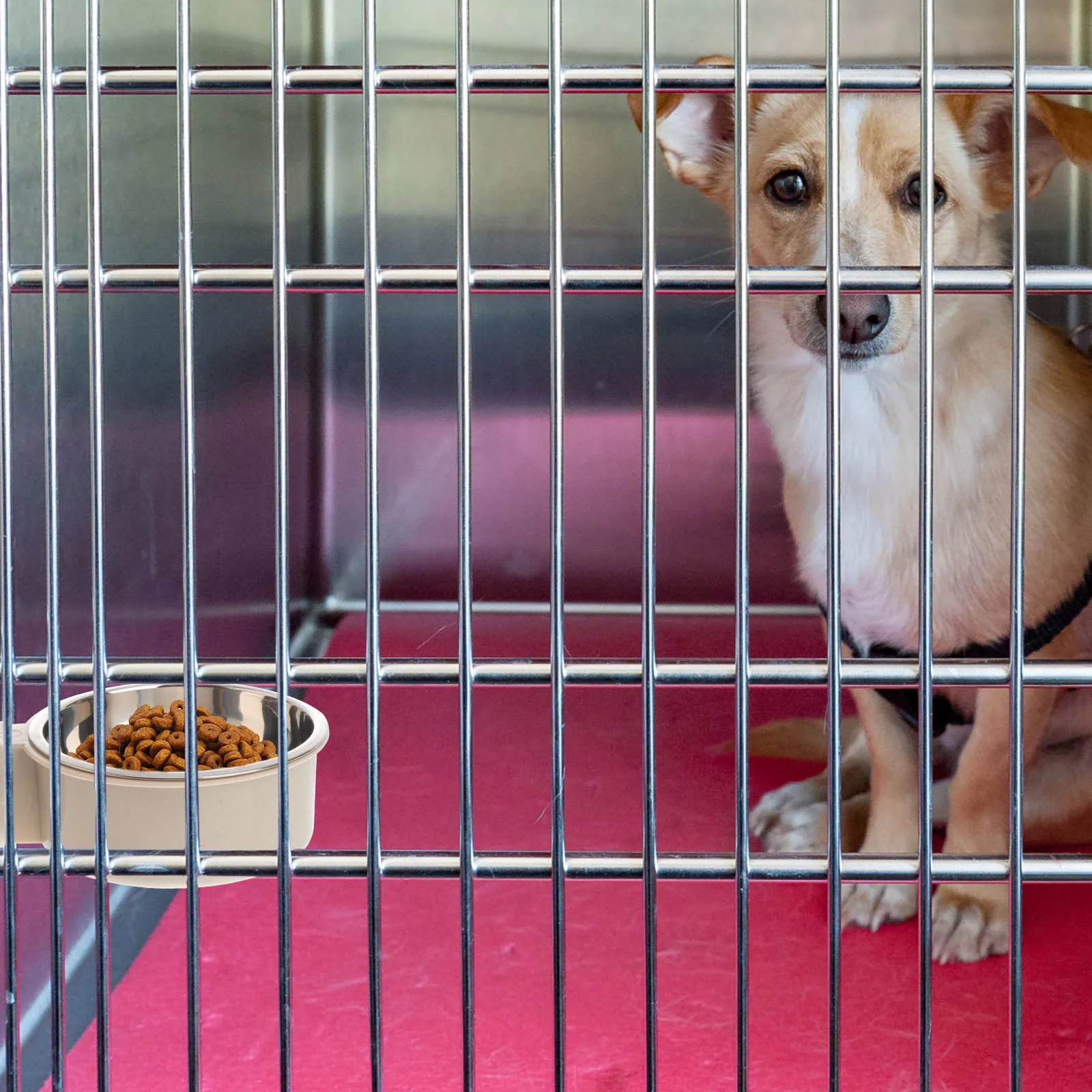 Stainless Steel Pet Feeder Hanging Food Feeding Bowl Grey Size L Stable Non-Spill Dog Cat Bowl Easy Clean Pet Feeder
Stainless Steel Pet Feeder Hanging Food Feeding Bowl Grey Size L Stable Non-Spill Dog Cat Bowl Easy Clean Pet Feeder