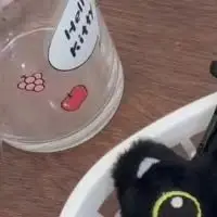 Ins Big Eyes Punk Cat Плюшевая подвеска Сумка Украшение для мальчика Девушка Подарок на день рождения Крыло призрака Маленький черный кот Плюшевая игрушка Кукла Подвеска
Ins Big Eyes Punk Cat Плюшевая подвеска Сумка Украшение для мальчика Девушка Подарок на день рождения Крыло призрака Маленький черный кот Плюшевая игрушка Кукла Подвеска