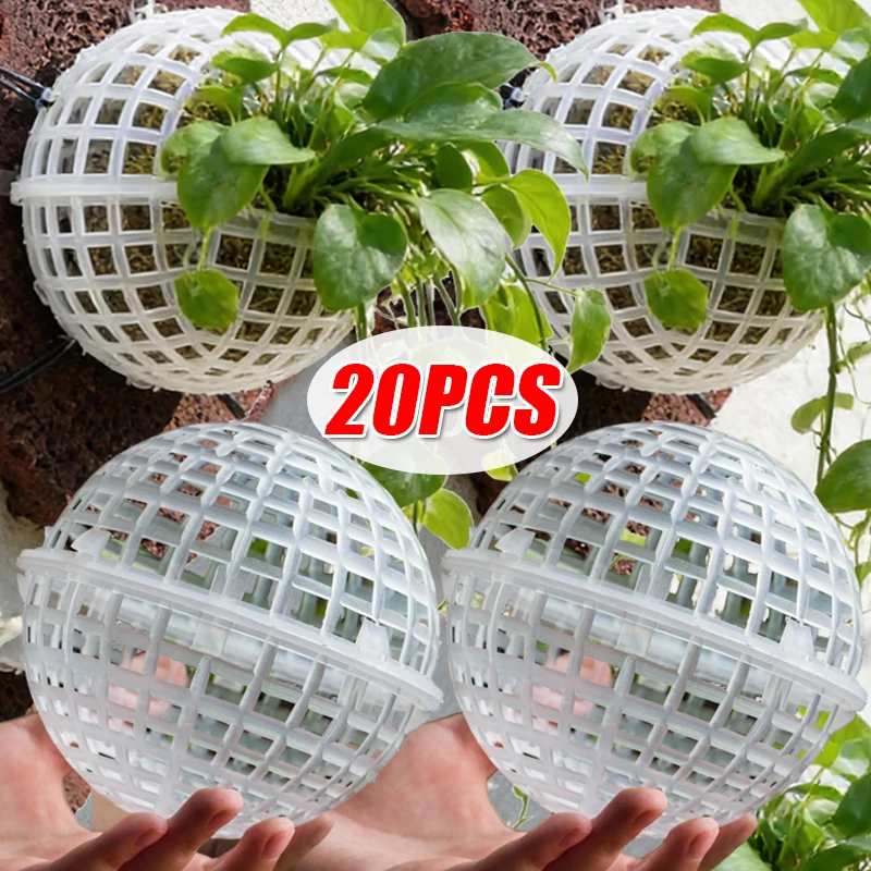 Flowers Planting Floating Balls Hollow Fillable Orchid Hanging Ball DIY Plants Flower Hanging Basket Garden Landscape Decoration
Flowers Planting Floating Balls Hollow Fillable Orchid Hanging Ball DIY Plants Flower Hanging Basket Garden Landscape Decoration