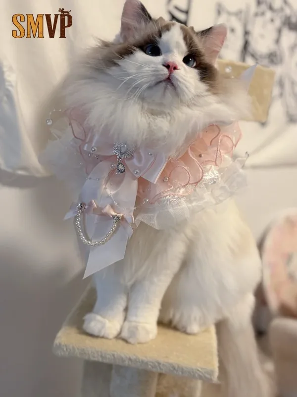 Handmade Pink Lace Pet Bib Sweet and adorable Style with Rhinestone Bow and Pearl Chain Universal Saliva Towel for Cats Dogs
Handmade Pink Lace Pet Bib Sweet and adorable Style with Rhinestone Bow and Pearl Chain Universal Saliva Towel for Cats Dogs