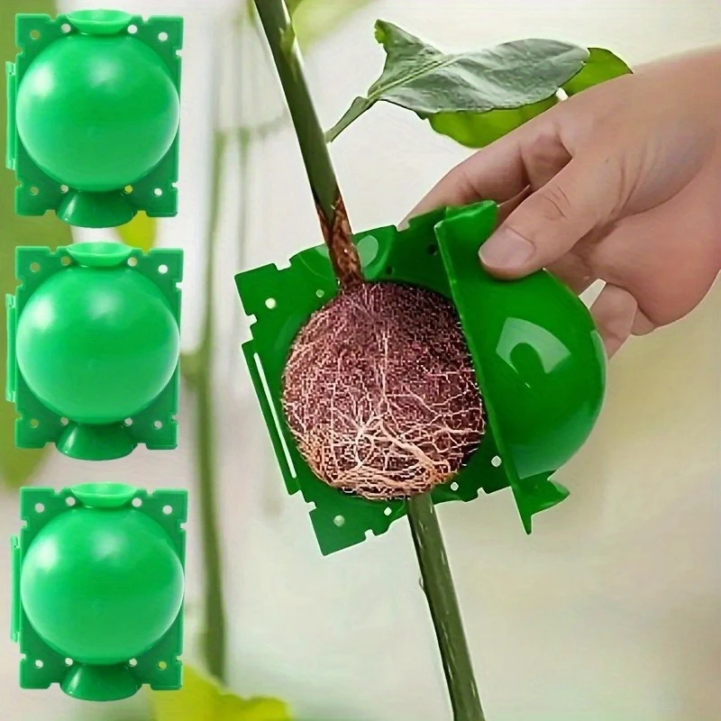 3pcs Rooting Box Set, Suitable for Plant Propagation And Grafting - Thickened Plastic Rooting Box with Air Culture Balls, Suitable Root Growth And Propagation in Garden Trees, Cuttings, And Rooting Tools
3pcs Rooting Box Set, Suitable for Plant Propagation And Grafting - Thickened Plastic Rooting Box with Air Culture Balls, Suitable Root Growth And Propagation in Garden Trees, Cuttings, And Rooting Tools