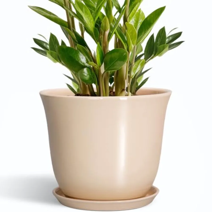 Ceramic Planter - Plant Pot for Indoor Outdoor, Round Flower Pots with Draage Hole and Saucer, Large Plant Pot, Modern Planters
Ceramic Planter - Plant Pot for Indoor Outdoor, Round Flower Pots with Draage Hole and Saucer, Large Plant Pot, Modern Planters