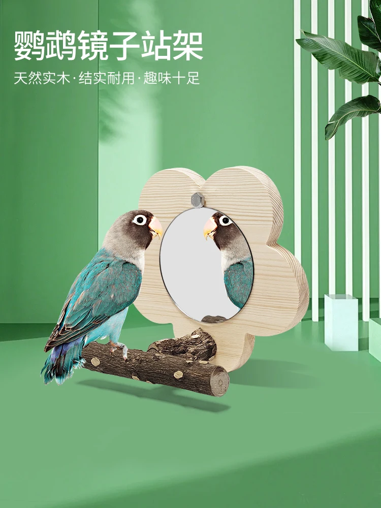 Parrot mirror fun solid wood pole bird mirror peony black phoenix tiger skin pepper wood table toy
Parrot mirror fun solid wood pole bird mirror peony black phoenix tiger skin pepper wood table toy