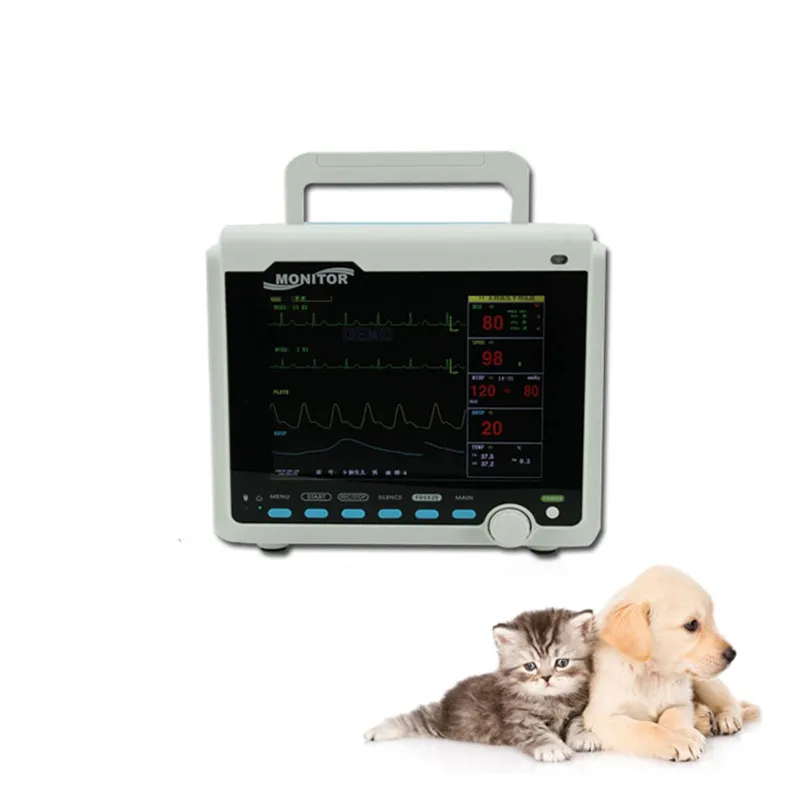 2026 China Supplier Vet Hospital CMS6000-Vet Multi-parameter Veterinary Monitor on Sale
2026 China Supplier Vet Hospital CMS6000-Vet Multi-parameter Veterinary Monitor on Sale