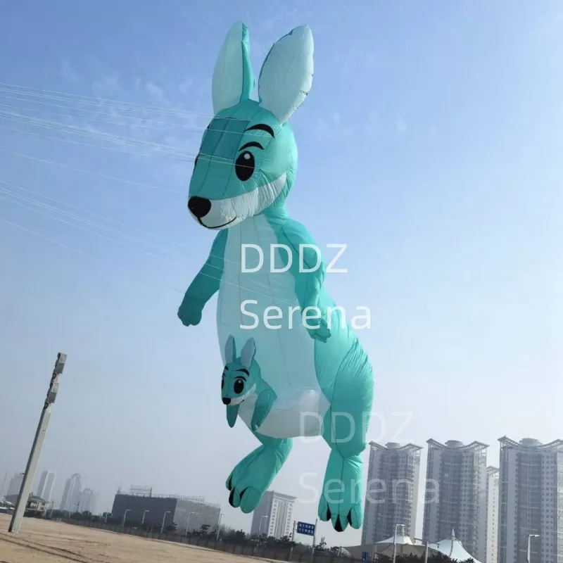 DDDZ 6 м Кенгуру шоу-кайт 40D Ripstop Нейлоновая ткань Линия стирки Кайт Подвеска Большой мягкий надувной кайт дневное время полета БЕЗ светодиода
DDDZ 6 м Кенгуру шоу-кайт 40D Ripstop Нейлоновая ткань Линия стирки Кайт Подвеска Большой мягкий надувной кайт дневное время полета БЕЗ светодиода