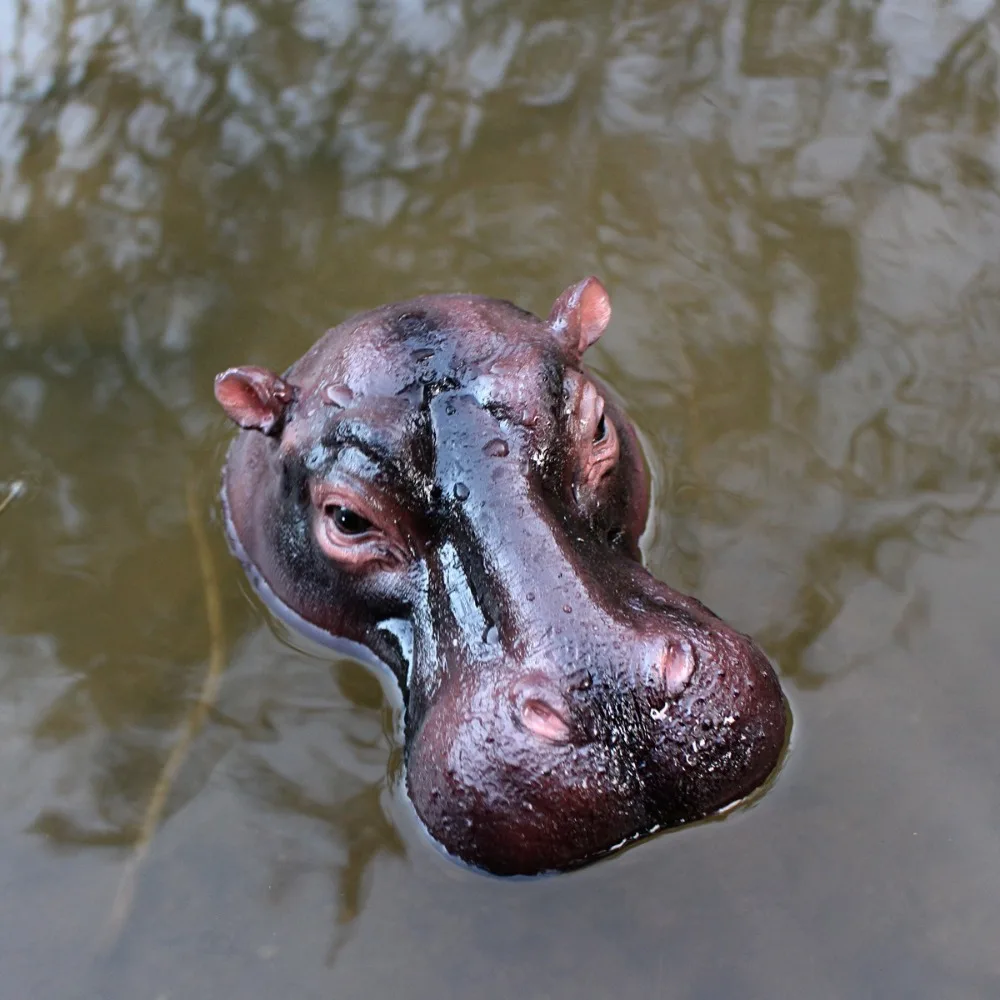 Funny Floating Hippopotamus Ornaments Handmade Lifelike Pond Floating Hippopotamus Head Resin Craft Animal Figurines Decoration
Funny Floating Hippopotamus Ornaments Handmade Lifelike Pond Floating Hippopotamus Head Resin Craft Animal Figurines Decoration