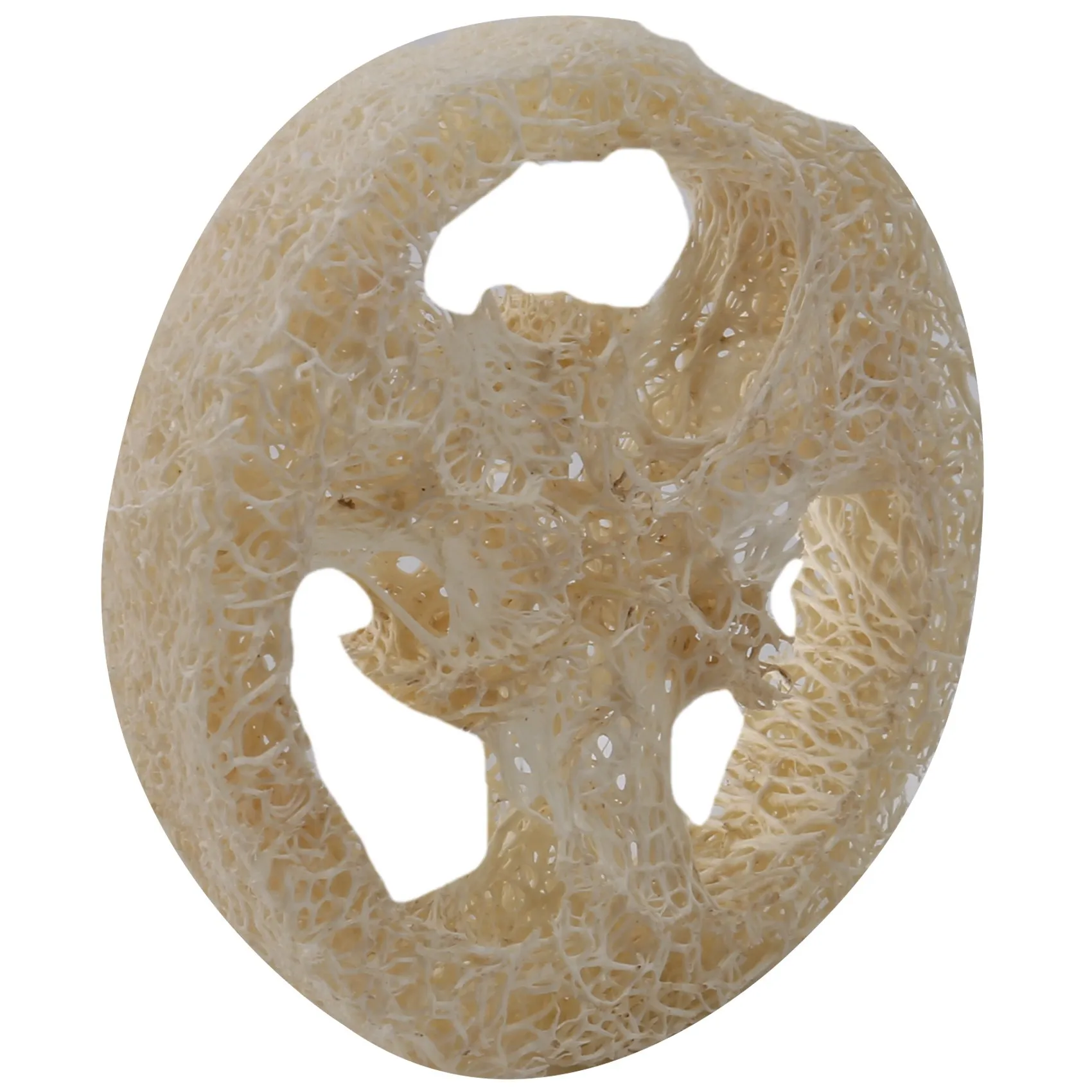 【Flash Sale】loofah slice
【Flash Sale】loofah slice