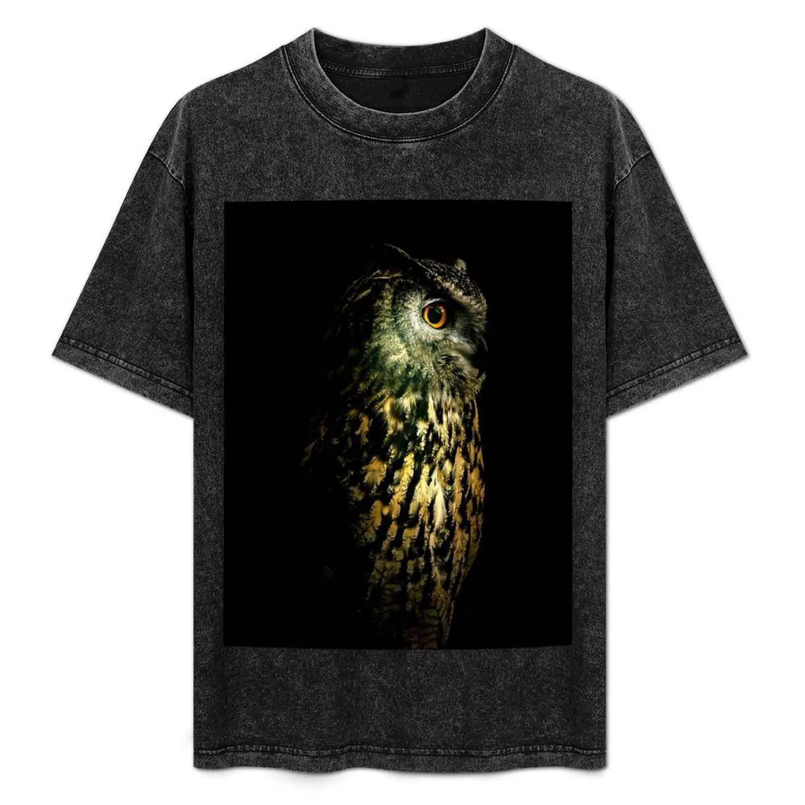 Eagle Owl Portrait T-Shirt Lightweight Casual Summer T-Shirt
Eagle Owl Portrait T-Shirt Lightweight Casual Summer T-Shirt
