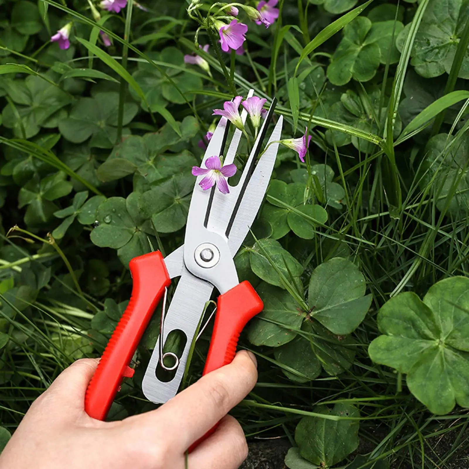 Stainless Steel Pruning Shears, Sharp Hand Branch Clippers, Heavy Duty Garden Trimmer for Tree, Flower, Shrub, Rose, Bonsai
Stainless Steel Pruning Shears, Sharp Hand Branch Clippers, Heavy Duty Garden Trimmer for Tree, Flower, Shrub, Rose, Bonsai