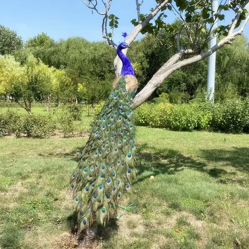 long tail beautiful peacock model foam&feather simulation peacock bird gift about 150cm d0544
long tail beautiful peacock model foam&feather simulation peacock bird gift about 150cm d0544