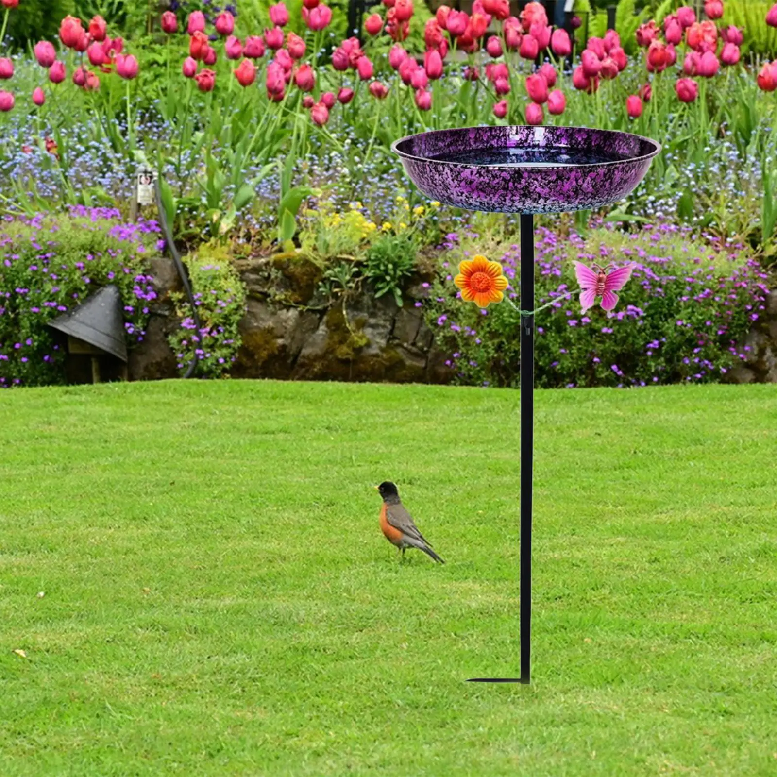 Bird Bath Bowl Bird Feeder Versatile Iron Decorative Heavy Duty with Stake
Bird Bath Bowl Bird Feeder Versatile Iron Decorative Heavy Duty with Stake