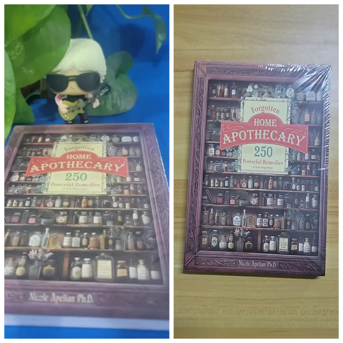 Forgotten Home Boticario libro de remedios a base de hierbas, 250 papeles, remedios potentes, совершенно en casa para el!)estar d
Forgotten Home Boticario libro de remedios a base de hierbas, 250 papeles, remedios potentes, совершенно en casa para el!)estar d