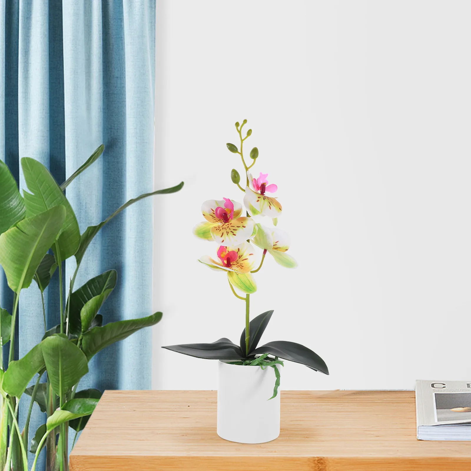 Phalaenopsis Orchid Artificial Potted Plant Flower Flowers Home Decor Realistic Potted Plant Desktop Bonsai
Phalaenopsis Orchid Artificial Potted Plant Flower Flowers Home Decor Realistic Potted Plant Desktop Bonsai