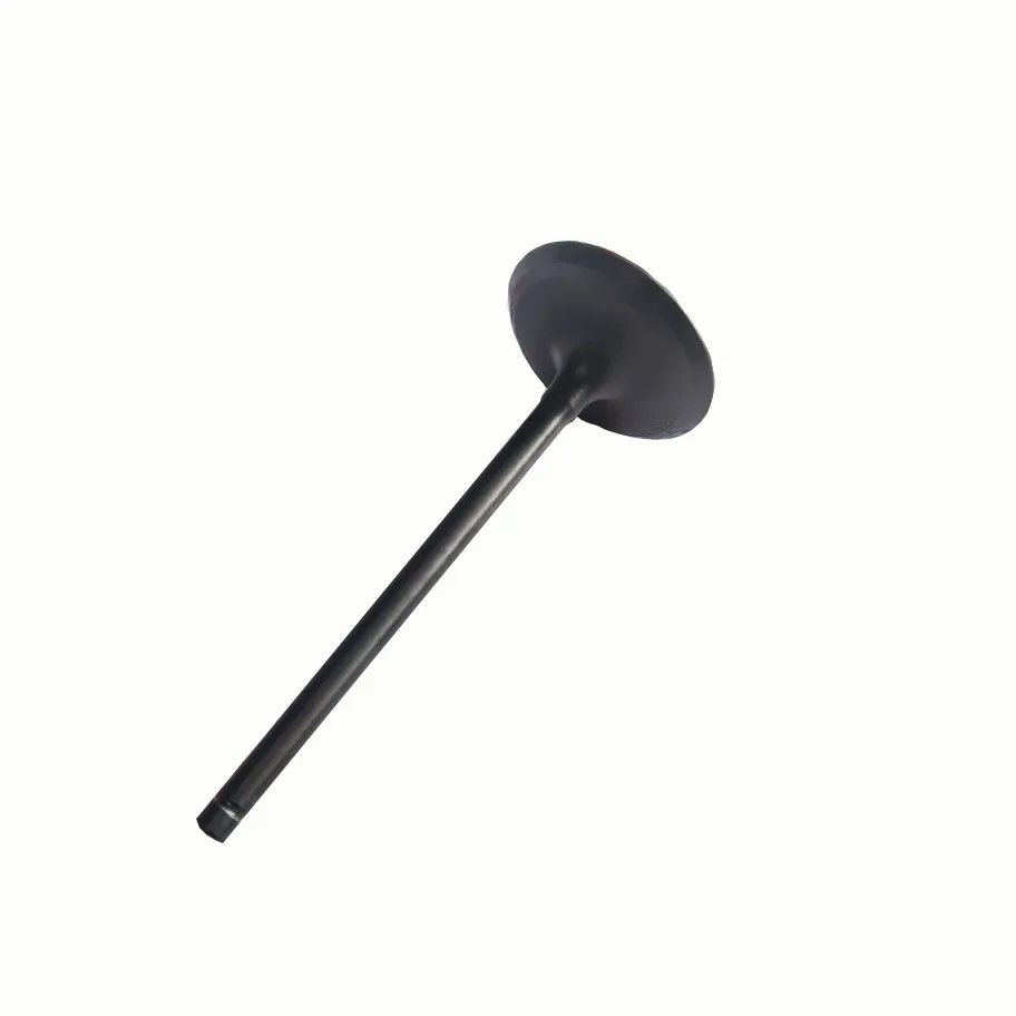 6P2-12111-00 Valve Intake for Yamaha 4-stroke Outboard Engine 200/225/250/300/350HP
6P2-12111-00 Valve Intake for Yamaha 4-stroke Outboard Engine 200/225/250/300/350HP