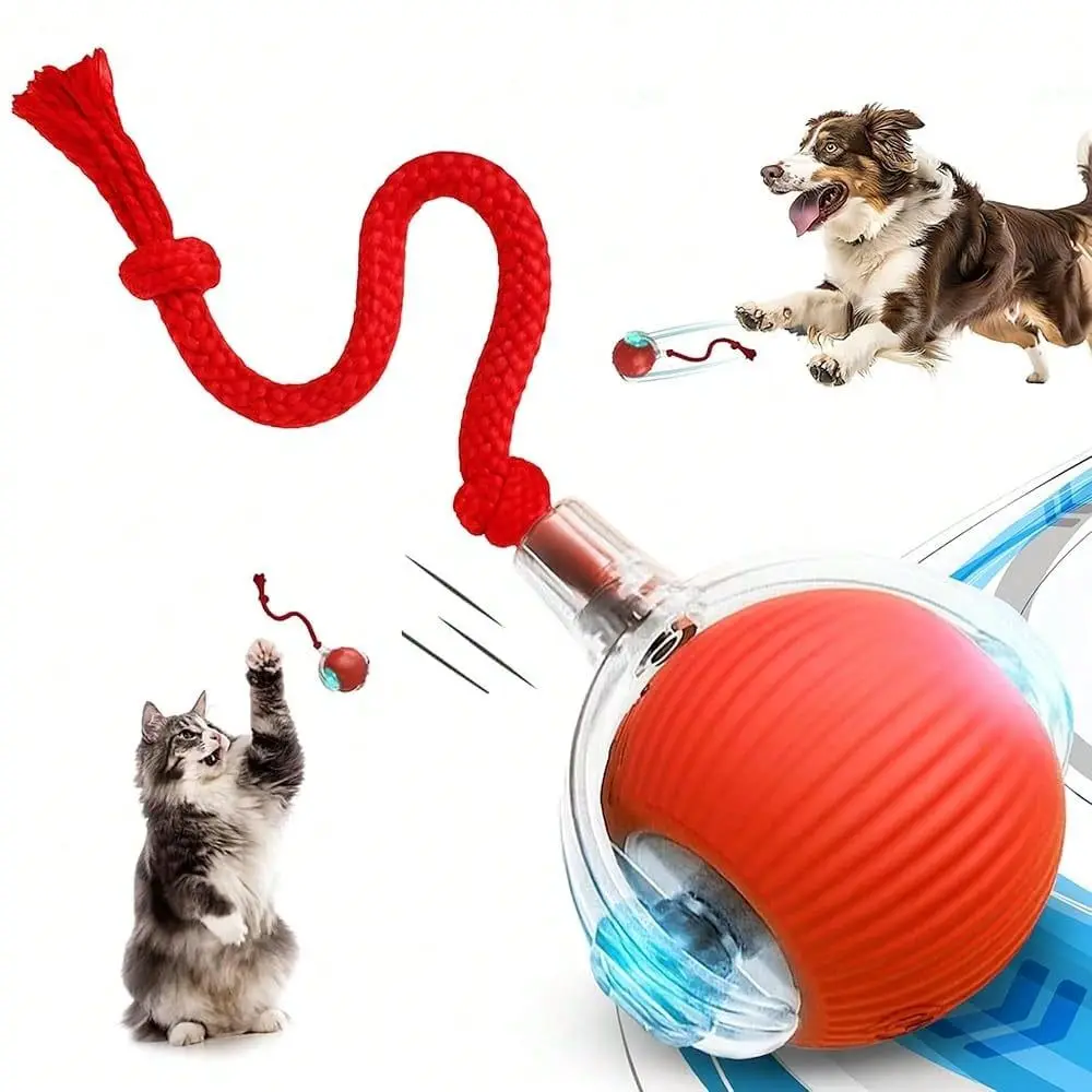 Tail 2.0 Cat Toy, 360Automatic Rolling Ball, Smart Interactive Cat Toy, Smart Jumping Ball For Dogs, Speedy Tail 3.0, Automatic
Tail 2.0 Cat Toy, 360Automatic Rolling Ball, Smart Interactive Cat Toy, Smart Jumping Ball For Dogs, Speedy Tail 3.0, Automatic