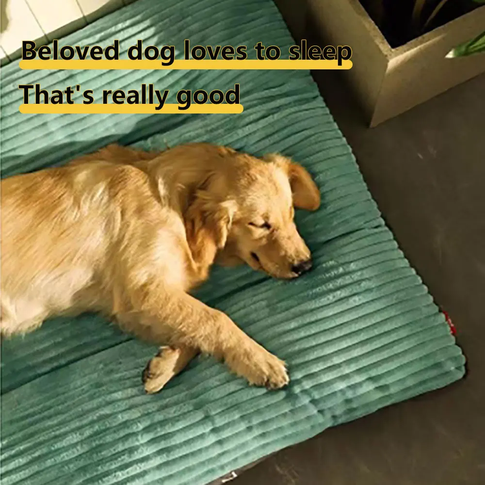Pet Mat Dog Bed Detachable & Washable PP Cotton Dog Mat soft & Comfortable Dog Sleeper Mat Dog Dormitory Dream Bed For Large Dog
Pet Mat Dog Bed Detachable & Washable PP Cotton Dog Mat soft & Comfortable Dog Sleeper Mat Dog Dormitory Dream Bed For Large Dog