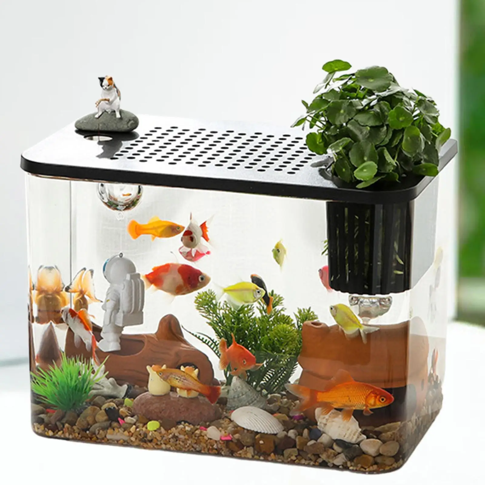 Full View Reptile Terrarium Tank, Visual Desk with Vent Lid, Amphibian Feeding Box
Full View Reptile Terrarium Tank, Visual Desk with Vent Lid, Amphibian Feeding Box