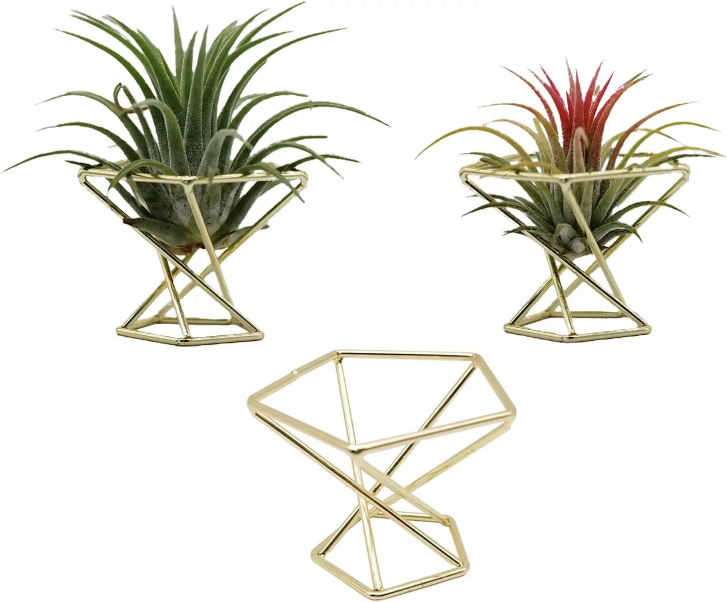 Geometric Air Plant Holder, Metal Plants Stand, Himmeli Living Decor, Tillandsia Pot, Gold 3pcs
Geometric Air Plant Holder, Metal Plants Stand, Himmeli Living Decor, Tillandsia Pot, Gold 3pcs