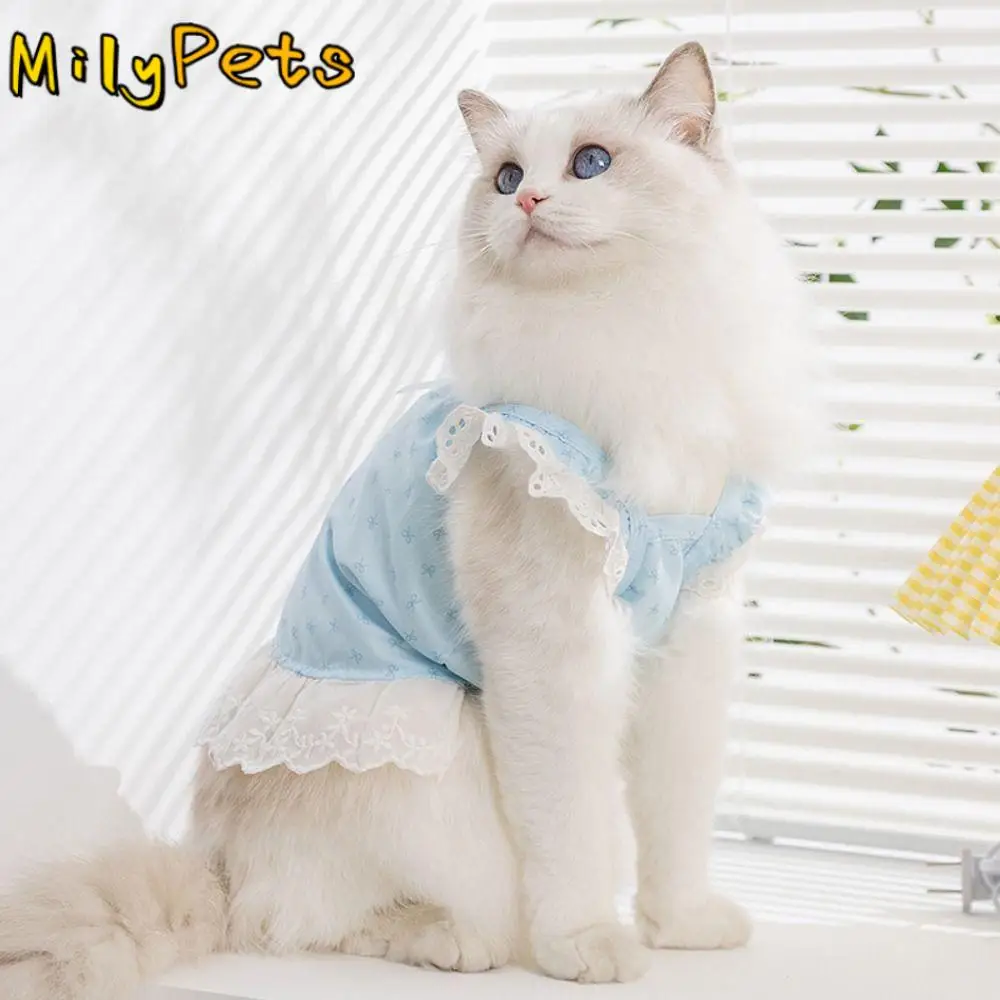 Simple Exquisite Bow Print Dog Dress Soft Breathable Lace Cat Skirt Cute Dog Princess Dress Pet Clothes
Simple Exquisite Bow Print Dog Dress Soft Breathable Lace Cat Skirt Cute Dog Princess Dress Pet Clothes